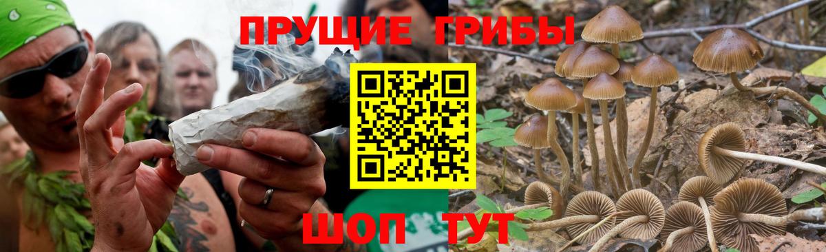 Майский  Псилоцибиновые грибы GOLDEN TEACHER  Вход с VPN 